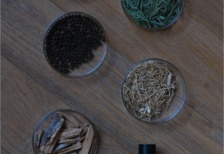 Aesop – LA Staycation
